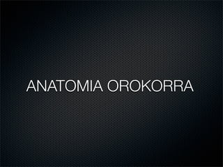 ANATOMIA OROKORRA
 