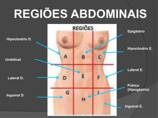 REGIÕES ABDOMINAIS
Hipocôndrio D.
Epigástrio
Hipocôndrio E.
Umbilical
Lateral D.
Inguinal D.
Lateral E.
Púbica
(Hipogástrio)
Inguinal E.
 