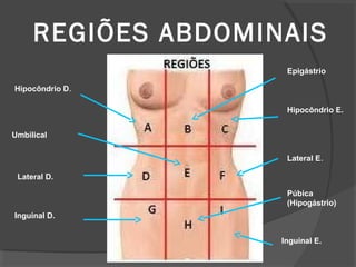 REGIÕES ABDOMINAIS
Hipocôndrio D.
Epigástrio
Hipocôndrio E.
Umbilical
Lateral D.
Inguinal D.
Lateral E.
Púbica
(Hipogástrio)
Inguinal E.
 