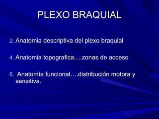 PLEXO BRAQUIAL Anatomia descriptiva del plexo braquial Anatomia topografica….zonas de acceso Anatomía funcional….distribución motora y sensitiva. 