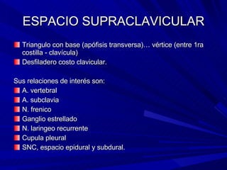 ESPACIO SUPRACLAVICULAR Triangulo con base (apófisis transversa)… vértice (entre 1ra costilla - clavícula) Desfiladero costo clavicular.  Sus relaciones de interés son: A. vertebral A. subclavia N. frenico Ganglio estrellado N. laringeo recurrente Cupula pleural SNC, espacio epidural y subdural. 