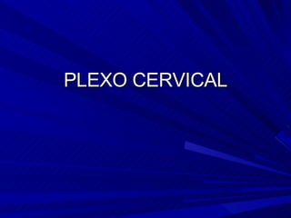 PLEXO CERVICAL 