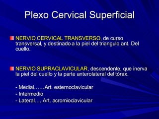 Plexo Cervical Superficial NERVIO CERVICAL TRANSVERSO,  de curso transversal, y destinado a la piel del triangulo ant. Del cuello. NERVIO SUPRACLAVICULAR , descendente, que inerva la piel del cuello y la parte anterolateral del tórax. - Medial……Art. esternoclavicular - Intermedio - Lateral…..Art. acromioclavicular 