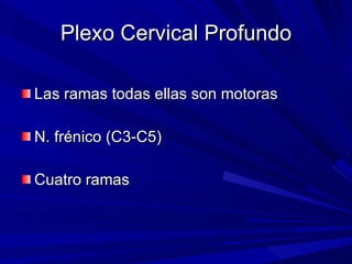 Plexo Cervical Profundo Las ramas todas ellas son motoras N. frénico (C3-C5) Cuatro ramas  