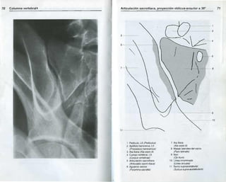 Anatomia radiologica | PDF