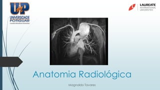 Anatomia Radiológica
Magnaldo Tavares
 