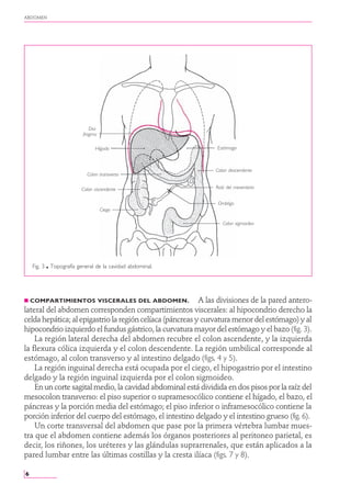 Anatomia - ROUVIERE - TOMO2 libro completo(3).pdf