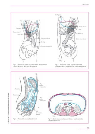 Anatomia - ROUVIERE - TOMO2 libro completo(3).pdf