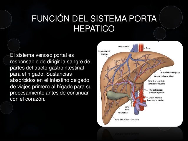 Los instrumentos médicos para la cirugía vascular