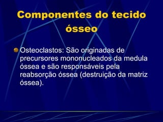 Componentes do tecido ósseo Osteoclastos: São originadas de precursores mononucleados da medula óssea e são responsáveis pela reabsorção óssea (destruição da matriz óssea). 
