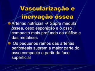 Vascularização e inervação óssea Artérias nutrícias    Supre medula óssea, osso esponjoso e o osso compacto mais profundo da diáfise e das metáfises Os pequenos ramos das artérias periosteais suprem a maior parte do osso compacto a partir da face superficial 