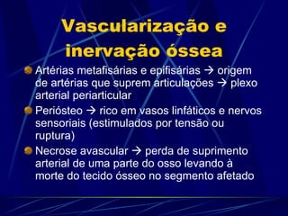 Vascularização e inervação óssea Artérias metafisárias e epifisárias    origem de artérias que suprem articulações    plexo arterial periarticular Periósteo    rico em vasos linfáticos e nervos sensoriais (estimulados por tensão ou ruptura) Necrose avascular    perda de suprimento arterial de uma parte do osso levando à morte do tecido ósseo no segmento afetado  