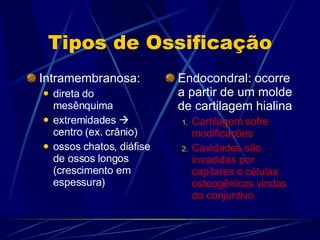 Tipos de Ossificação Intramembranosa:  direta do mesênquima extremidades    centro (ex. crânio) ossos chatos, diáfise de ossos longos (crescimento em espessura) Endocondral: ocorre a partir de um molde de cartilagem hialina  Cartilagem sofre modificações Cavidades são invadidas por capilares e células osteogênicas vindas do conjuntivo  
