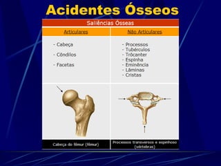 Acidentes Ósseos 