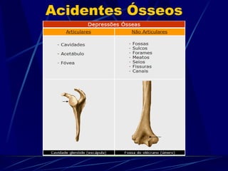 Acidentes Ósseos 