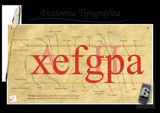 Anatomia tipografica