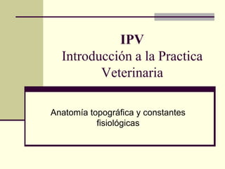 IPV
  Introducción a la Practica
         Veterinaria

Anatomía topográfica y constantes
           fisiológicas
 