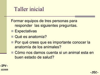 Taller inicial
         Formar equipos de tres personas para
           responder las siguientes preguntas.
          Expectativas
          Qué es anatomía?
          Por qué crees que es importante conocer la
           anatomía de los animales?
          Cómo nos damos cuenta si un animal esta en
           buen estado de salud?

-IPV-
SI2005
                                                  -JEC-
 