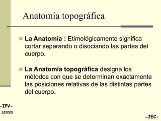Anatomía topográfica

          La Anatomía : Etimológicamente significa
           cortar separando o disociando las partes del
           cuerpo.

          La Anatomía topográfica designa los
           métodos con que se determinan exactamente
           las posiciones relativas de las distintas partes
           del cuerpo.

-IPV-
SI2005
                                                        -JEC-
 