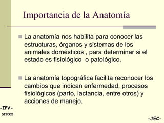 Importancia de la Anatomía

          La anatomía nos habilita para conocer las
           estructuras, órganos y sistemas de los
           animales domésticos , para determinar si el
           estado es fisiológico o patológico.

          La anatomía topográfica facilita reconocer los
           cambios que indican enfermedad, procesos
           fisiológicos (parto, lactancia, entre otros) y
           acciones de manejo.
-IPV-
SI2005
                                                         -JEC-
 