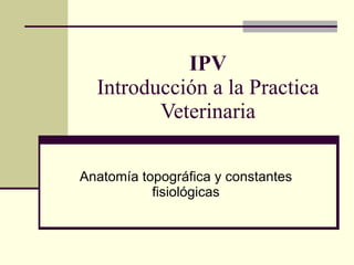 IPV Introducción a la Practica Veterinaria Anatomía topográfica y constantes fisiológicas 