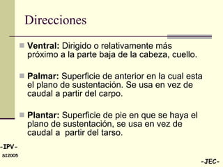 Direcciones  Ventral:  Dirigido o relativamente más próximo a la parte baja de la cabeza, cuello. Palmar:  Superficie de anterior en la cual esta el plano de sustentación. Se usa en vez de caudal a partir del carpo. Plantar:  Superficie de pie en que se haya el plano de sustentación, se usa en vez de caudal a  partir del tarso.  