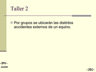 Taller 2  Por grupos se ubicarán las distintos accidentes externos de un equino. 