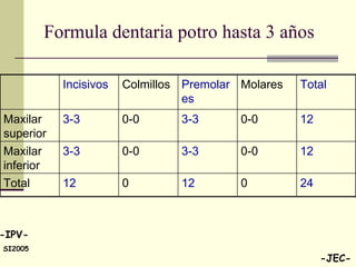 Formula dentaria potro hasta 3 años 24 0 12 0 12 Total 12 0-0 3-3 0-0 3-3 Maxilar inferior 12 0-0 3-3 0-0 3-3 Maxilar superior Total Molares Premolares Colmillos Incisivos 