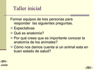 Taller inicial  Formar equipos de tres personas para responder  las siguientes preguntas. Expectativas  Qué es anatomía? Por qué crees que es importante conocer la anatomía de los animales? Cómo nos damos cuenta si un animal esta en buen estado de salud? 
