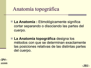 La Anatomía topográfica  designa los métodos con que se determinan exactamente las posiciones relativas de las distintas partes del cuerpo. Anatomía topográfica La Anatomía :  Etimológicamente significa cortar separando o disociando las partes del cuerpo.  