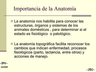 Importancia de la Anatomía La anatomía nos habilita para conocer las estructuras, órganos y sistemas de los animales domésticos , para determinar si el estado es fisiológico  o patológico. La anatomía topográfica facilita reconocer los cambios que indican enfermedad, procesos fisiológicos (parto, lactancia, entre otros) y acciones de manejo. 
