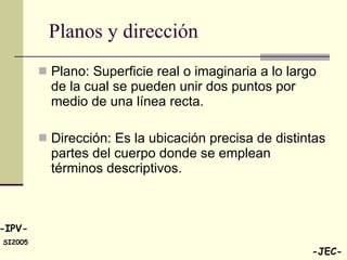Planos y dirección Plano: Superficie real o imaginaria a lo largo de la cual se pueden unir dos puntos por medio de una línea recta. Dirección: Es la ubicación precisa de distintas partes del cuerpo donde se emplean términos descriptivos. 