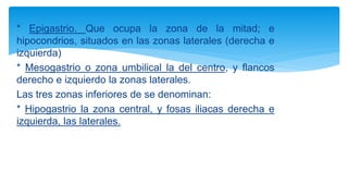 * Epigastrio. Que ocupa la zona de la mitad; e
hipocondrios, situados en las zonas laterales (derecha e
izquierda)
* Mesogastrio o zona umbilical la del centro, y flancos
derecho e izquierdo la zonas laterales.
Las tres zonas inferiores de se denominan:
* Hipogastrio la zona central, y fosas iliacas derecha e
izquierda, las laterales.
 