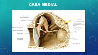 CARA MEDIAL
 