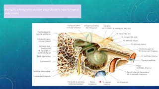 Faringitis o Amigdalitis pueden viajar desde la naso faringe al
oído medio
 