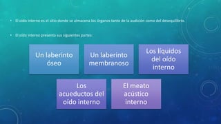• El oído interno es el sitio donde se almacena los órganos tanto de la audición como del desequilibrio.
• El oído interno presenta sus siguientes partes:
Un laberinto
óseo
Un laberinto
membranoso
Los líquidos
del oído
interno
Los
acueductos del
oído interno
El meato
acústico
interno
 