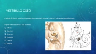 VESTIBULO OSEO
Cavidad de forma ovoidea que se encuentra situada entre el caracol y los canales semicirculares.
Representa seis caras y seis paredes:
 Inferior
 Superior
 Anterior
 Posterior
 Lateral
 Medial
 
