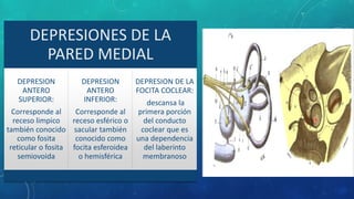 DEPRESIONES DE LA
PARED MEDIAL
DEPRESION
ANTERO
SUPERIOR:
Corresponde al
receso limpico
también conocido
como fosita
reticular o fosita
semiovoida
DEPRESION
ANTERO
INFERIOR:
Corresponde al
receso esférico o
sacular también
conocido como
focita esferoidea
o hemisférica
DEPRESION DE LA
FOCITA COCLEAR:
descansa la
primera porción
del conducto
coclear que es
una dependencia
del laberinto
membranoso
 
