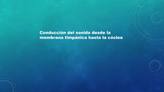 Conducción del sonido desde la
membrana timpánica hasta la cóclea
 