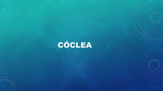 CÓCLEA
 