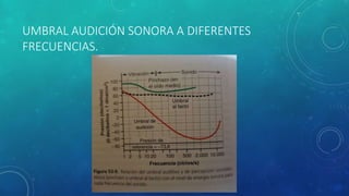 UMBRAL AUDICIÓN SONORA A DIFERENTES
FRECUENCIAS.
 