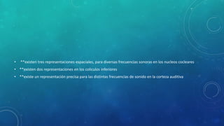 • **existen tres representaciones espaciales, para diversas frecuencias sonoras en los nucleos cocleares
• **existen dos representaciones en los coliculos inferiores
• **existe un representación precisa para las distintas frecuencias de sonido en la corteza auditiva
 
