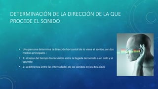DETERMINACIÓN DE LA DIRECCIÓN DE LA QUE
PROCEDE EL SONIDO
• Una persona determina la dirección horizontal de lo viene el sonido por dos
medios principales :
• 1: el lapso del tiempo transcurrido entre la llegada del sonido a un oído y al
opuesto
• 2: la diferencia entre las intensidades de los sonidos en los dos oídos
 