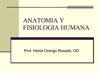 ANATOMIA Y FISIOLOGIA HUMANA Prof. Heirie Orengo Rosado, OD 