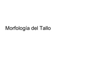 Morfología del Tallo  