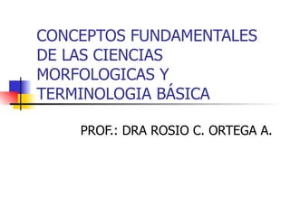 CONCEPTOS FUNDAMENTALES DE LAS CIENCIAS MORFOLOGICAS Y TERMINOLOGIA BÁSICA PROF.: DRA ROSIO C. ORTEGA A. 