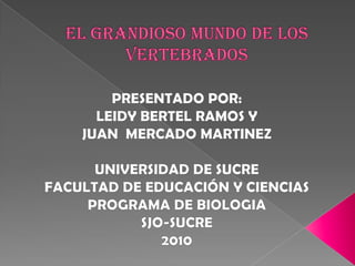 El grandioso mundo de los vertebrados PRESENTADO POR:  LEIDY BERTEL RAMOS Y JUAN  MERCADO MARTINEZ  UNIVERSIDAD DE SUCRE FACULTAD DE EDUCACIÓN Y CIENCIAS PROGRAMA DE BIOLOGIA SJO-SUCRE 2010 