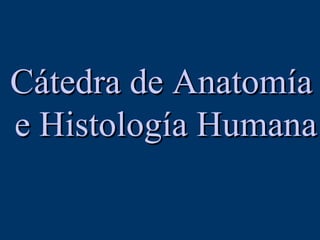 Cátedra de Anatomía e Histología Humana 
