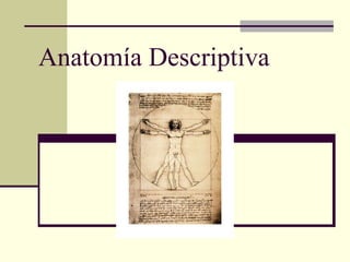 Anatomía Descriptiva 