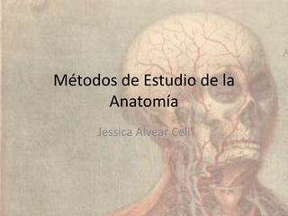 Métodos de Estudio de la
      Anatomía
     Jessica Alvear Celi
 